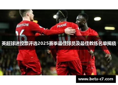 英超球迷投票评选2025赛季最佳球员及最佳教练名单揭晓