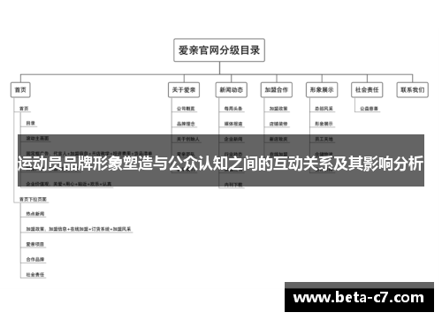 运动员品牌形象塑造与公众认知之间的互动关系及其影响分析