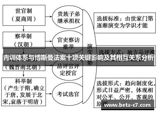 青训体系与博斯曼法案十项关键影响及其相互关系分析