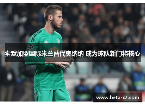 索默加盟国际米兰替代奥纳纳 成为球队新门将核心